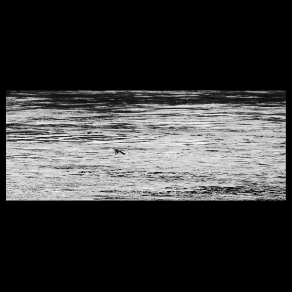 PHOTO84, CLUB, 84 , LUBERON